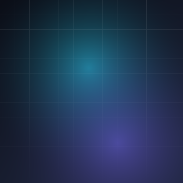PLACEHOLDER — Platform